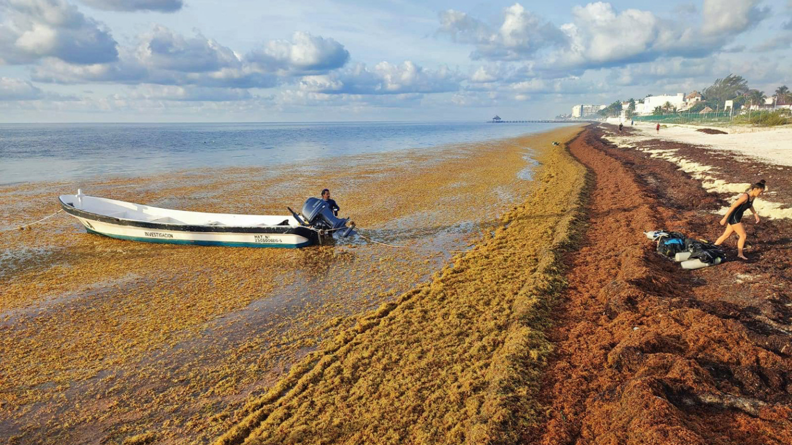 The Future of Climate Innovation: My Summer Story