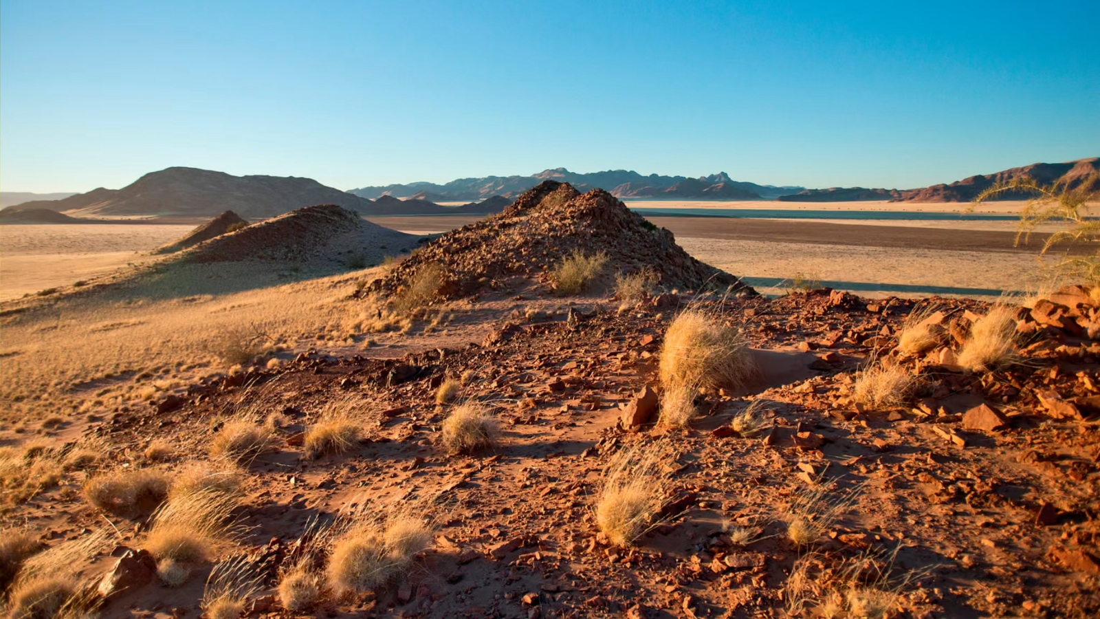 Dryland Restoration: Bridging the Gap between Science and Finance to Restore the Planet’s Most Overlooked Ecosystem