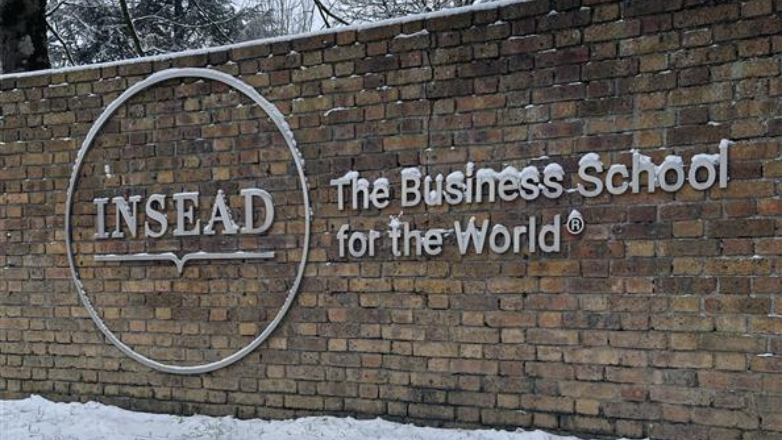 INSEAD Winter
