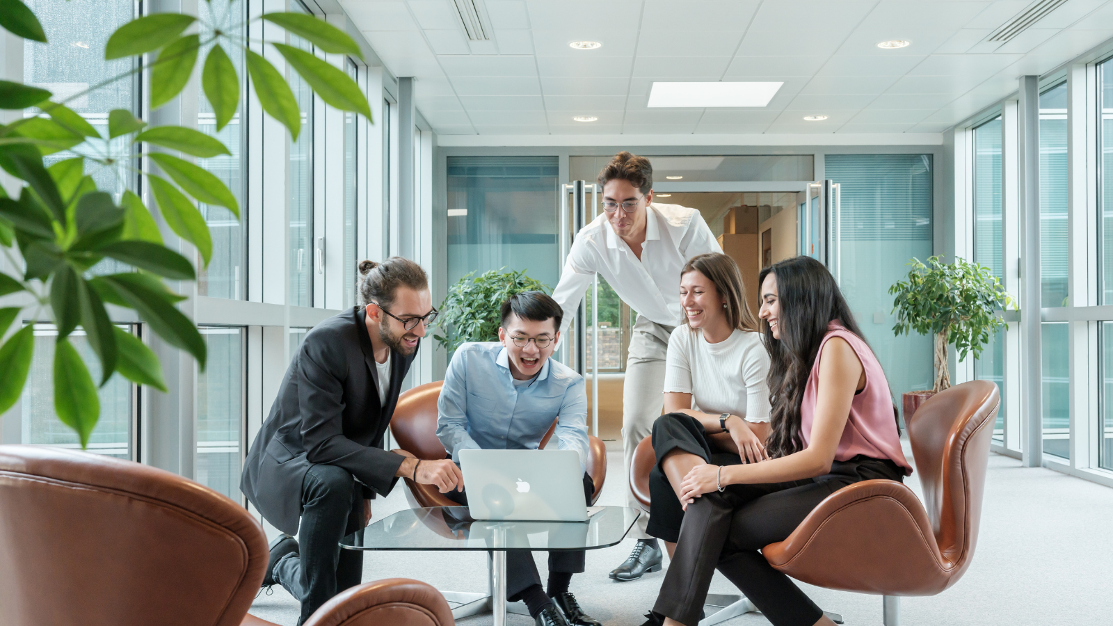 INSEAD Master Programme Alum