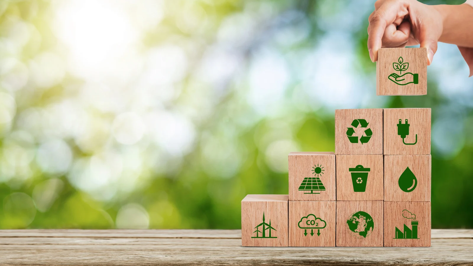 Image representing sustainability