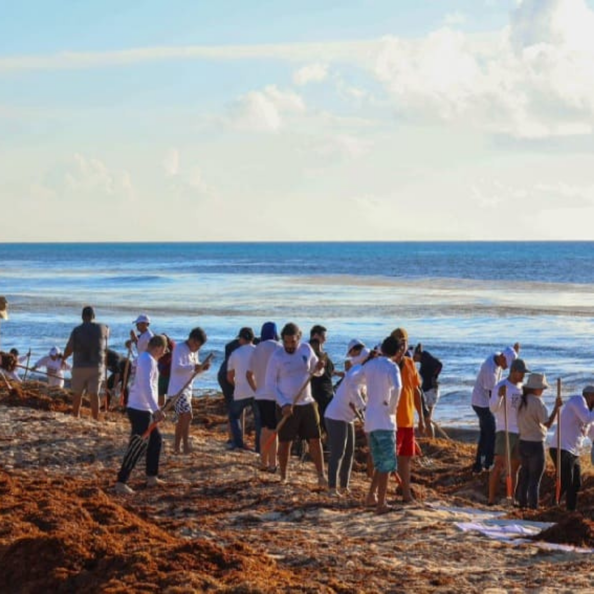 The Future of Climate Innovation: My Summer Story