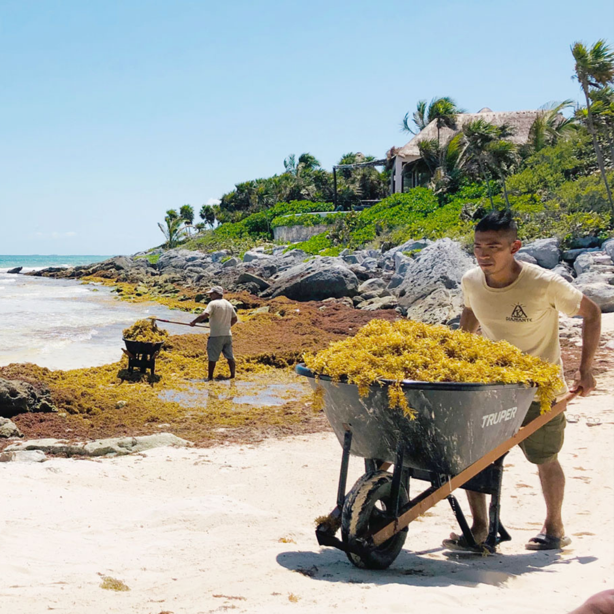 The Future of Climate Innovation: My Summer Story