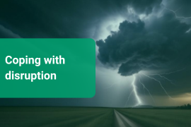 Limitless 2025 - IDP - Coping with Disruption