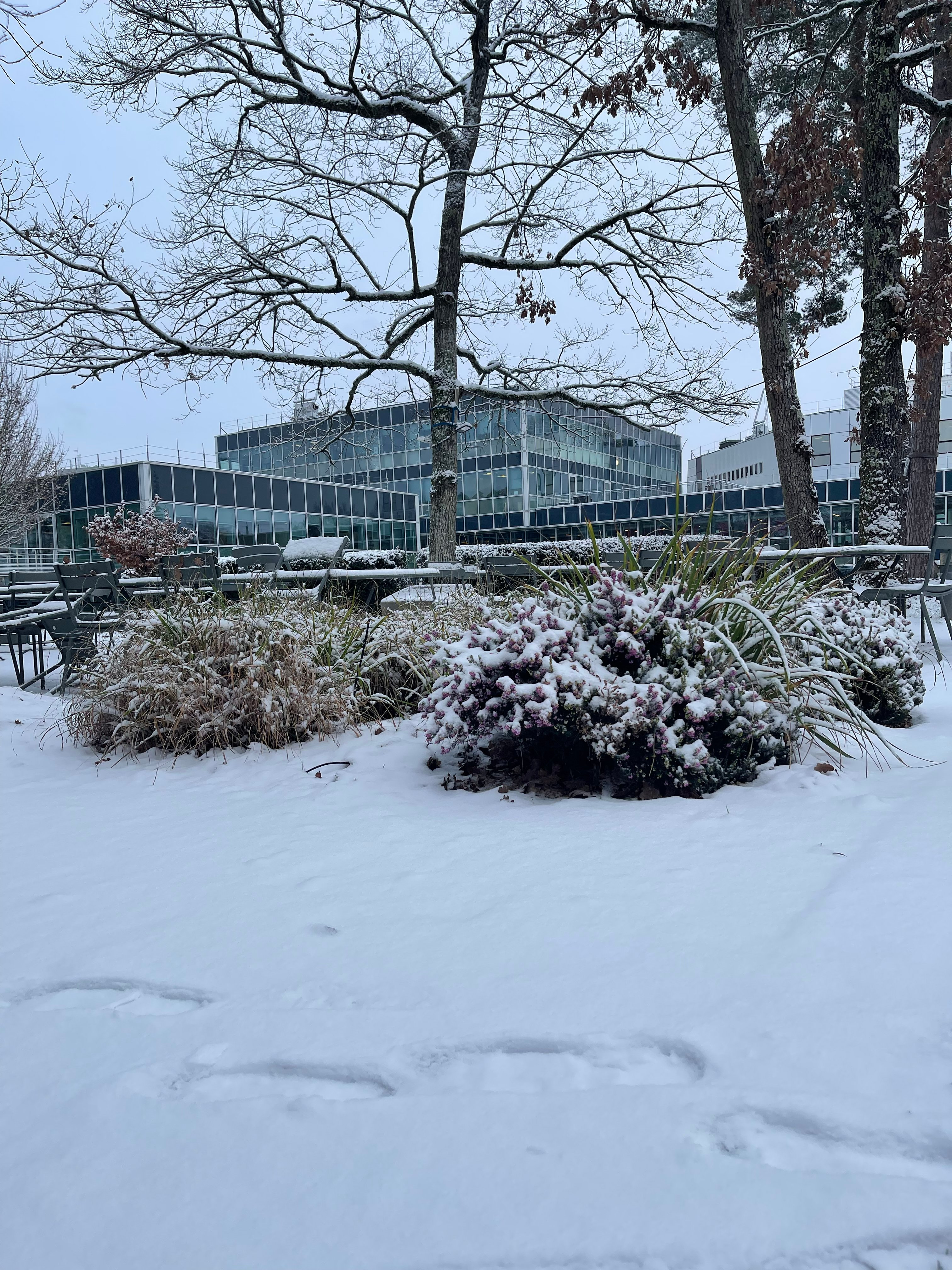 Winter in Fontainebleau – a MIM perspective