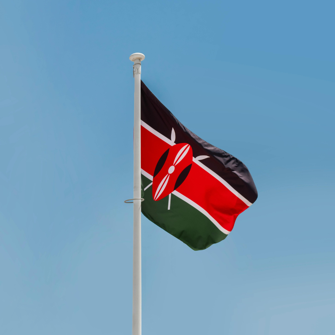 Dryland Restoration: Bridging the Gap Between Science and Finance To Restore the Planet’s Most Overlooked Ecosystem