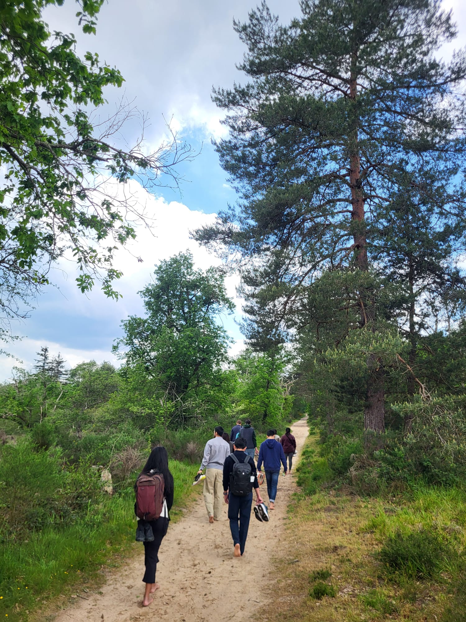 Forest bating near the INSEAD Europe campus in Fontainebleau