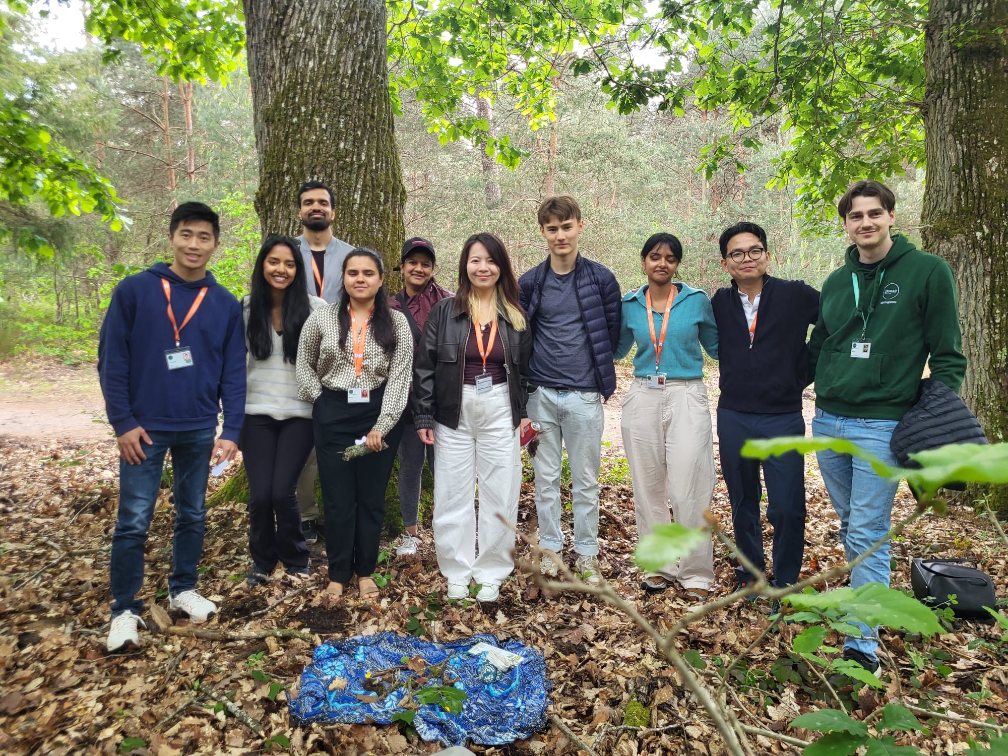 INSEAD Master in Management and MBA students in the forest at Fontainebleau during Earth Week